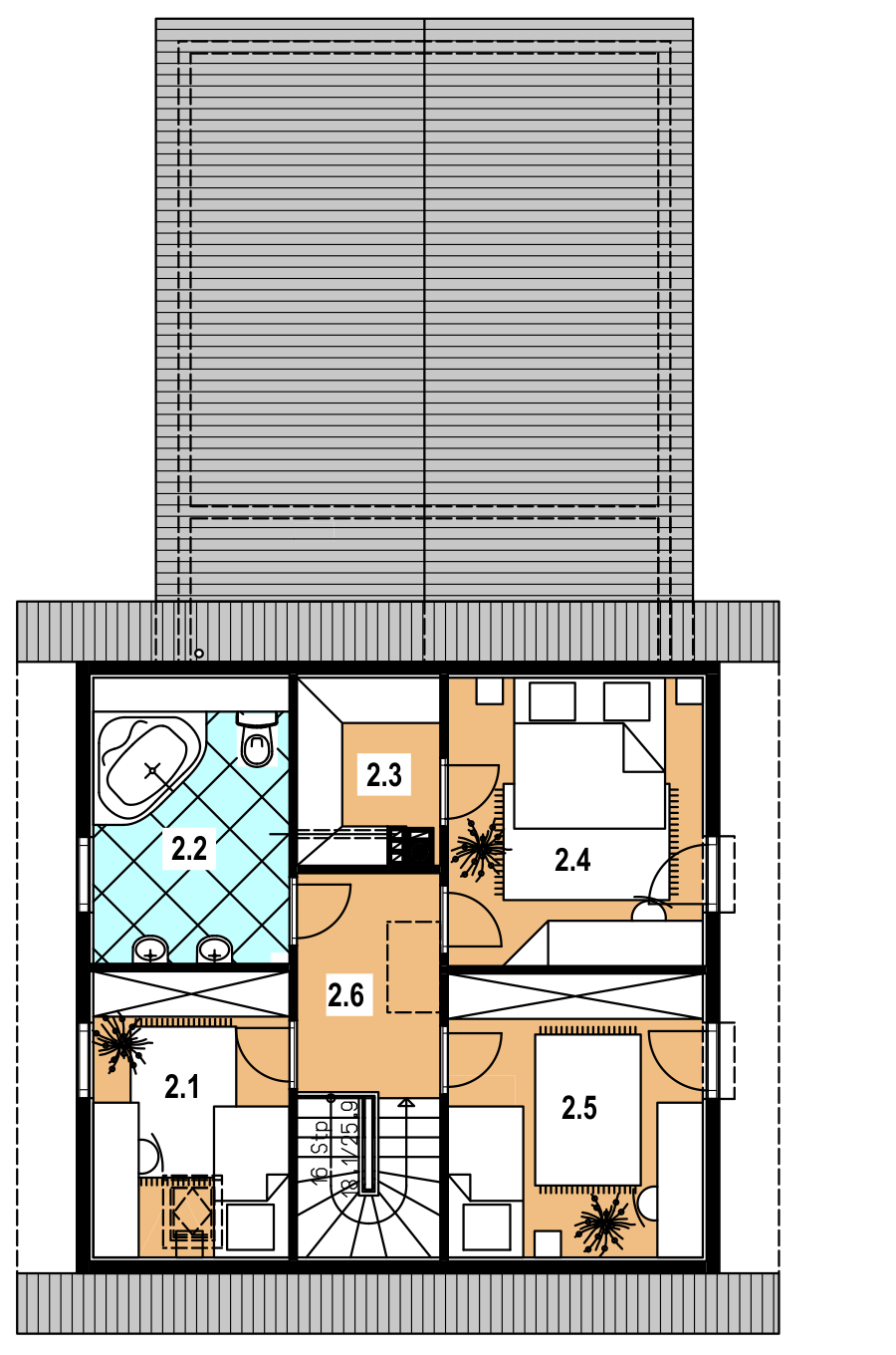 Rzut 2
